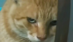 春秋云镜Certify打靶记录(Kerberoast攻击讲解)