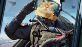 猫儿这个壮志凌云(耄耋表情包合集)