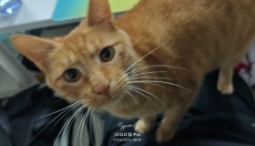 2025-2026 年末总结